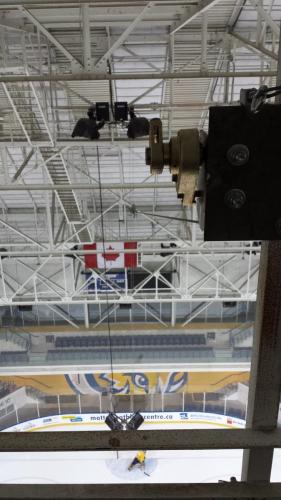 legacy maple leafs 1